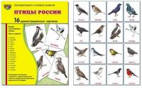 Дидактические карточки "Птицы России"