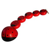 Шнуровка "Божьи коровки"