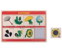 Рамка-вкладыши "Растения"