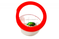 Коробка для изучения насекомых (с лупой)