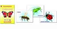 Демонстрационный материал "Насекомые"