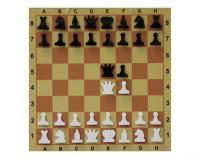 Доска шахматная демонстрационная складная