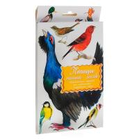 Дидактические карточки "Птицы наших лесов"