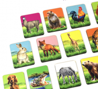 Игровой набор ГДЕ ЧЬЯ ШКУРКА (по методике Сегена) (ХДФ, УФ печать)